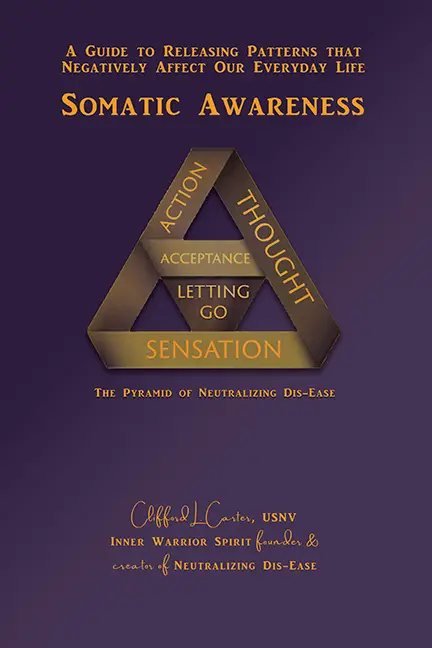 Cover of Somatic Awareness: A Guide to Releasing Patterns that Negatively Affect Our Everyday Life